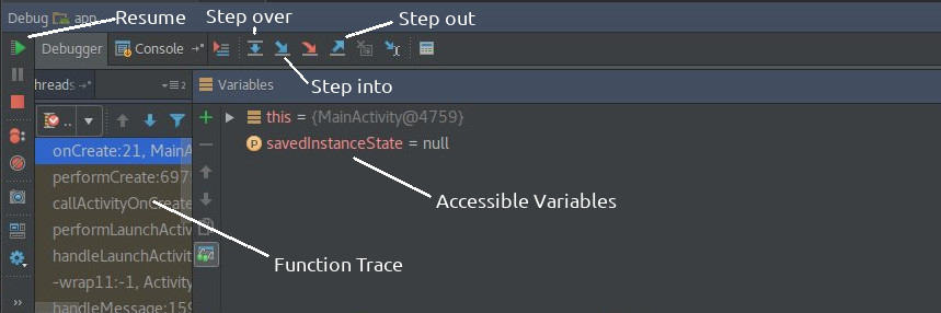 Debugger options